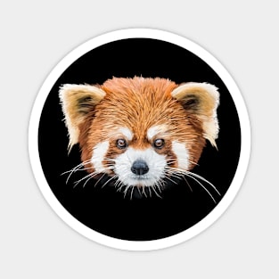 Red panda Magnet